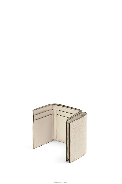 avena ligera cartera triple repeat de piel de becerro de seda grabada Loewe R8J8Z1271 mujer