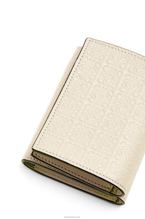 avena ligera cartera triple repeat de piel de becerro de seda grabada Loewe R8J8Z1271 mujer