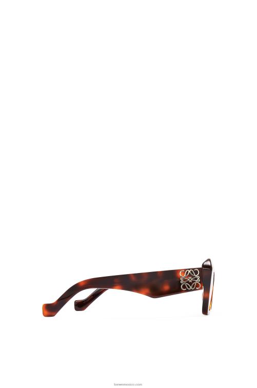 Habana marrón gafas de sol cateye de acetato Loewe R8J8Z1480 mujer