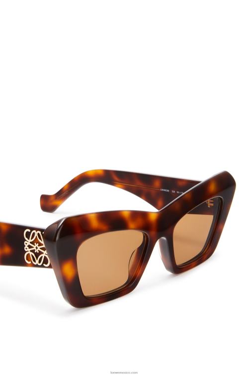 Habana marrón gafas de sol cateye de acetato Loewe R8J8Z1480 mujer