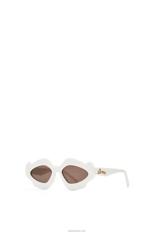 Marfil gafas de sol flame de acetato Loewe R8J8Z1466 mujer