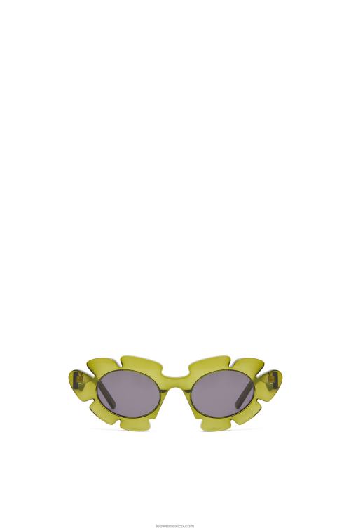 cactus verde gafas de sol flor de nailon inyectado Loewe R8J8Z1462 mujer