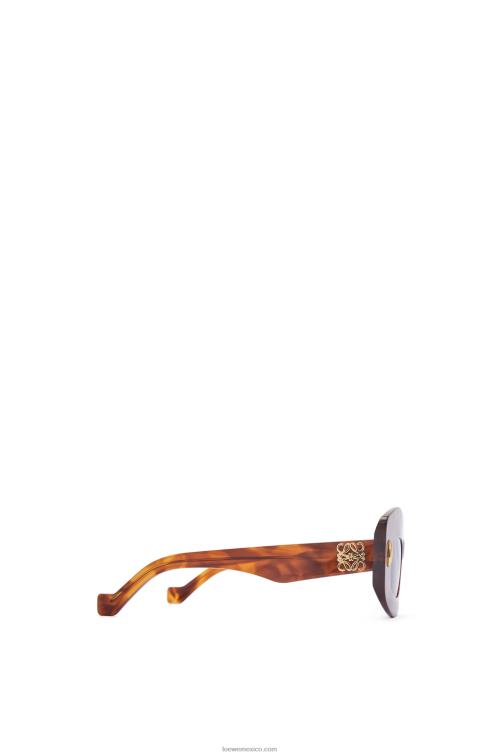 habana flameada lentes de sol screen en acetato Loewe R8J8Z1432 mujer
