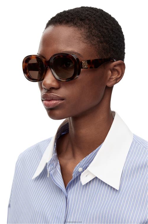 la Habana gafas de sol ovaladas de acetato Loewe R8J8Z1493 mujer