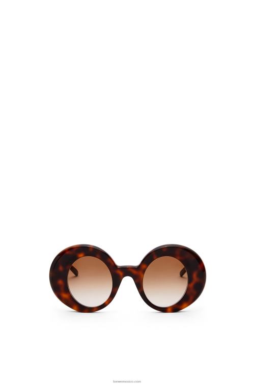 la Habana gafas de sol redondas oversize de acetato Loewe R8J8Z1492 mujer