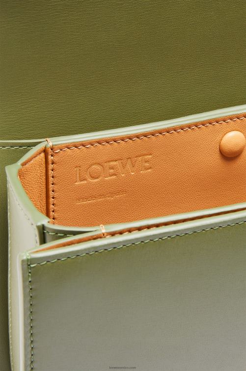 aguacate verde bolso goya pequeño en piel de becerro de seda Loewe R8J8Z307 mujer