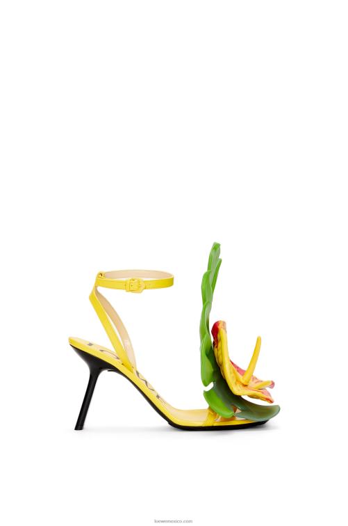 amarillo acacia sandalia pétalo en piel de cordero Loewe R8J8Z689 mujer