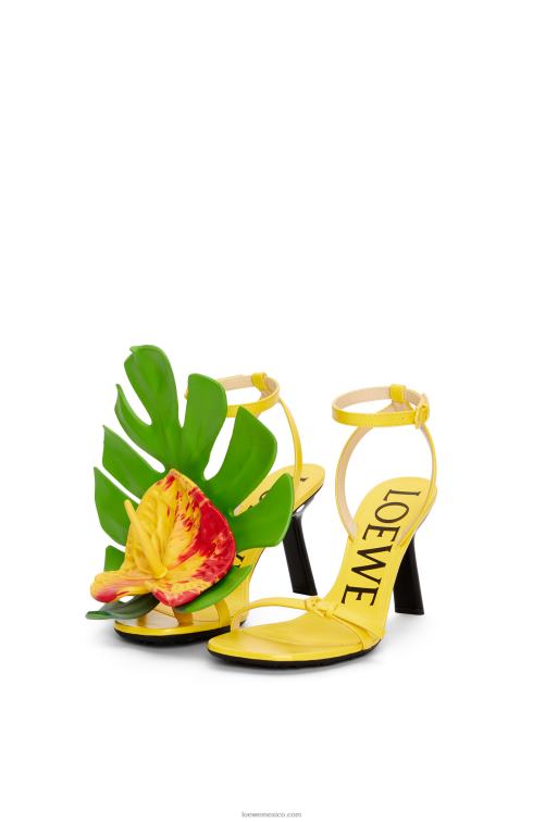 amarillo acacia sandalia pétalo en piel de cordero Loewe R8J8Z689 mujer