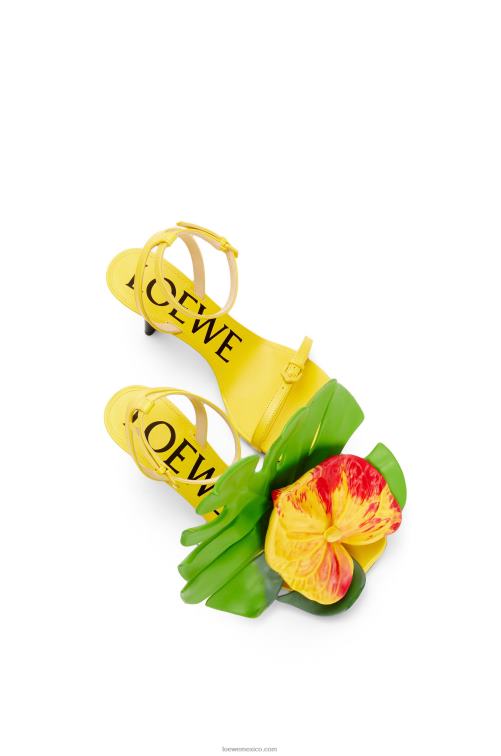 amarillo acacia sandalia pétalo en piel de cordero Loewe R8J8Z689 mujer