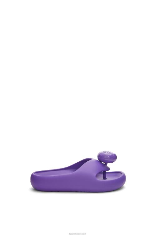 púrpura tobogán de espuma Loewe R8J8Z718 mujer